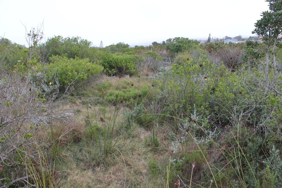 0 Bedroom Property for Sale in Dana Bay Western Cape